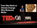 From Bee Butts to Climate Change: Why Museums Matter | Renée Göthberg | TEDxGöteborg