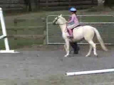 Mary Shepard clinic at Welbreds Farm