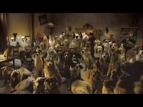 hotel for dogs 2 hotel for dogs trailer release hotel for dogs 2 hotel for dogs trailer release
