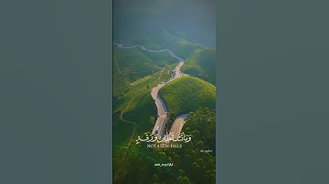 وعنده مفاتح الغيب لا يعلمها إلا هو |سورة الأنعام~الآية59~القارئ الشيخ #ماهر_المعيقلي ~🎧🤍
