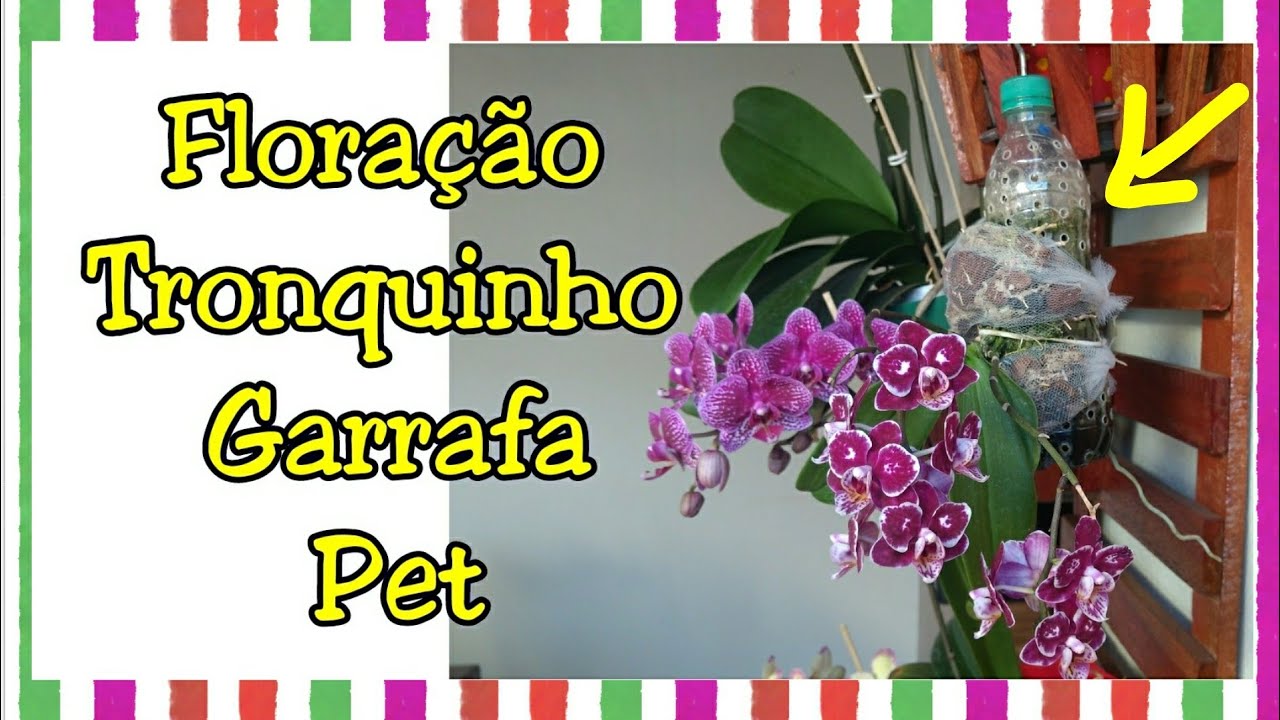 Tronquinho Orquídea Garrafa Pet 