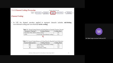 15EC81 WLTE Downlink Transport Channel Processing