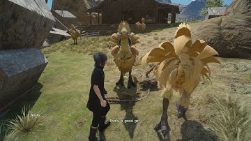 Final Fantasy XV - Side Quest - Chase that Chocobo