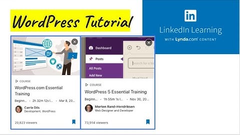 Module 7 Overview (TECM 5191)