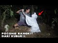 POCONGNYA MALAH DI T0NJ0K AKIBAT PRANK ANAK INDIGO !! Part2