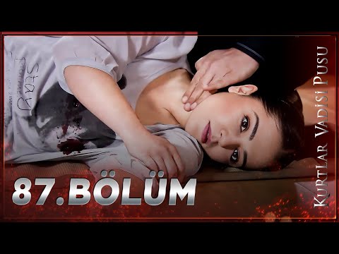 Kurtlar Vadisi Pusu - 87. Bölüm FULL HD