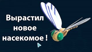 Вырастил новое насекомое ! Игра - мечта ! ( Birthdays the Beginning ) Вырастил новое насекомое ! Игра - мечта ! ( Birthdays the Beginning )