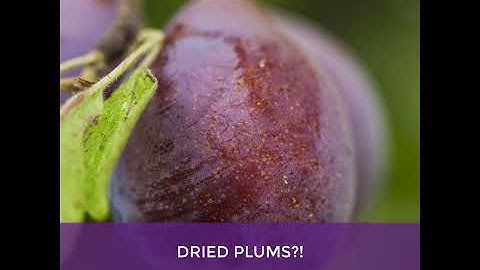 How Prunes Are Made