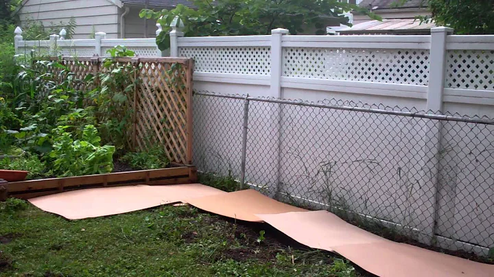 Step 2 - Landscape Project with Cardboard & Mulch