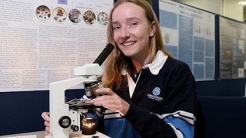 Regional Science Exchange at JMSS - Student Experiences 2015