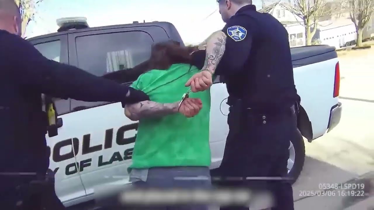 Caught on Camera: Domestic Abusers Exposed in the Act
