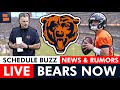 Chicago bears now live news  rumors  qa w harrison graham may 14