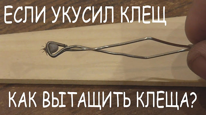 Если укусил клещ,  как вытащить клеща,  самоделка для вытаскивания клещей,  лайфхак