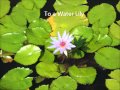 Miniature de la vidéo de la chanson To A Water Lily