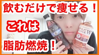 【ダイエット】黒烏龍茶とからだすこやか茶で痩せる！？