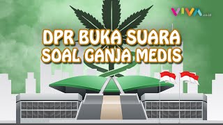 Titik Terang Legalisasi Ganja Medis, Ini Kata Wakil Ketua DPR