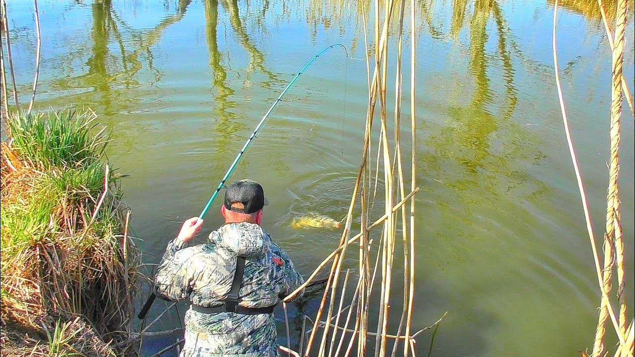 ОН ЗАТАЩИЛ МЕНЯ В ВОДУ! ЭТА РЕЧУШКА ЗАБИТА РЫБОЙ!