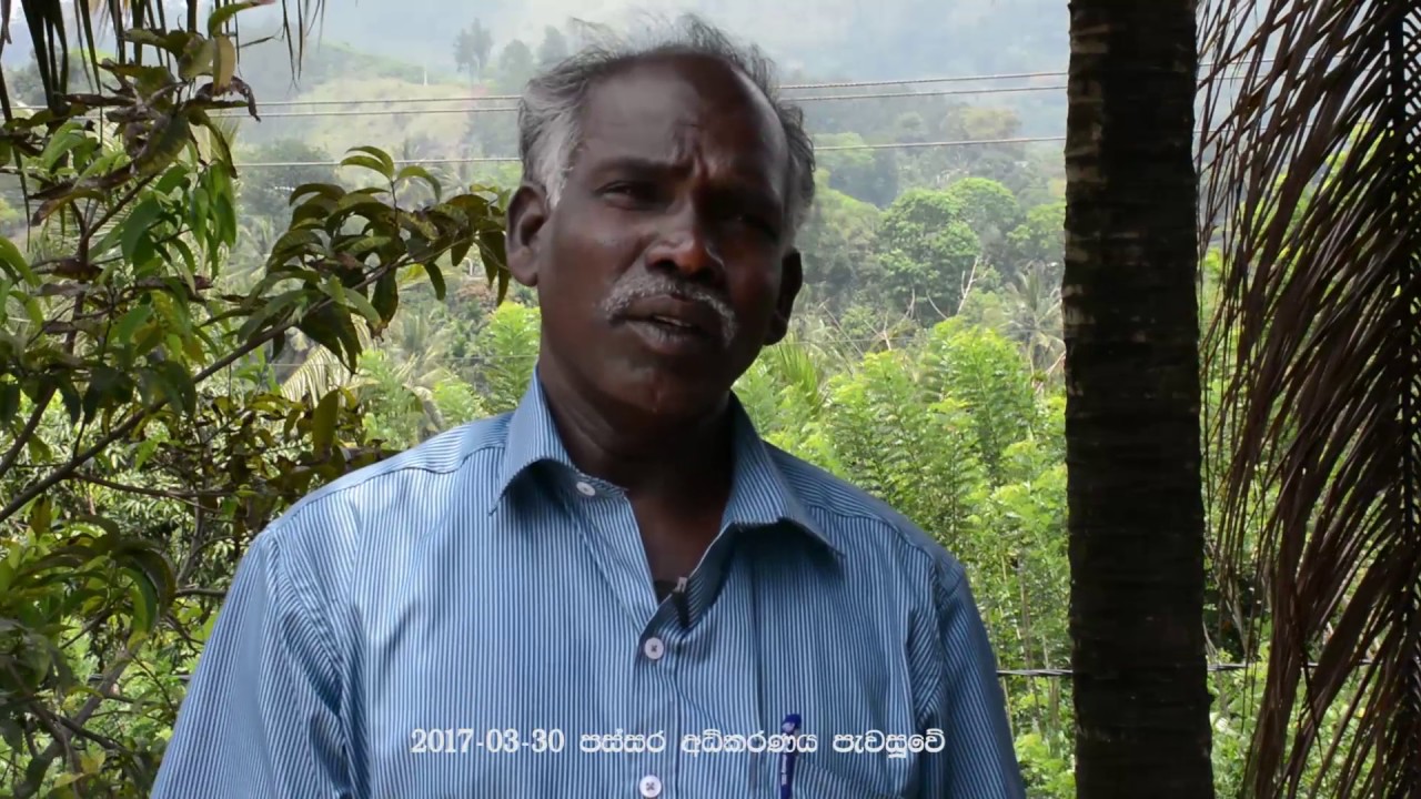 මොනාද මේ....? 