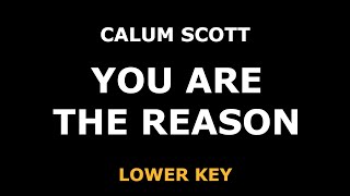 Calum Scott - You Are The Reason - Piano Karaoke [LOWER]