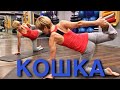 Комплекс КОШКА. Эффективные упражнения для здоровья позвоночника