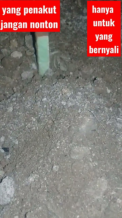 #shortvideo kelakuan warga 62#komedi#halu#memelucu#tiktoklucu#asupan memelucu#funnyvideo