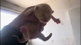 17 октября 2025 г.