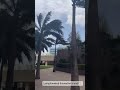 Windy Weather #weatheringwithyou #weather #wind #breeze