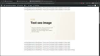 SEO Images Wodrepss Plugin - Generate Images while wrting a blog post