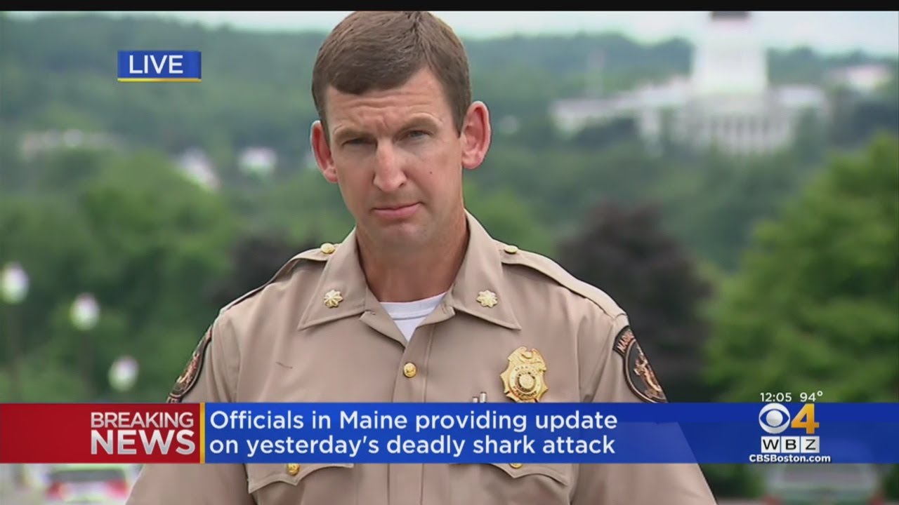 Maine Authorities Give Update On Deadly Shark Attack In Maine