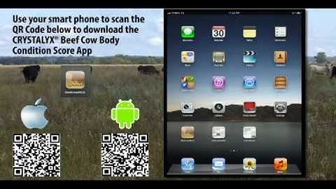 CRYSTALYX Beef Cow Body Condition Score App How To