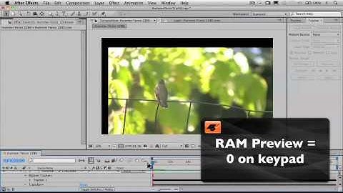 After Effects CS5 201: Motion Tracking and Stabilization - 5 Stabilizing The Layer