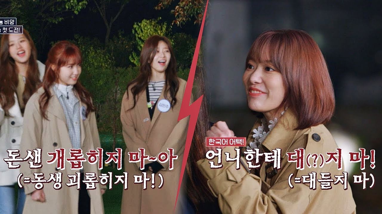 (귀염뽀쨕♡) 사쿠라(Miyawaki Sakura)x히토미(HONDA HITOMI), 예능용 한국어 도발 멘트 장착↗ 인간지능 2회