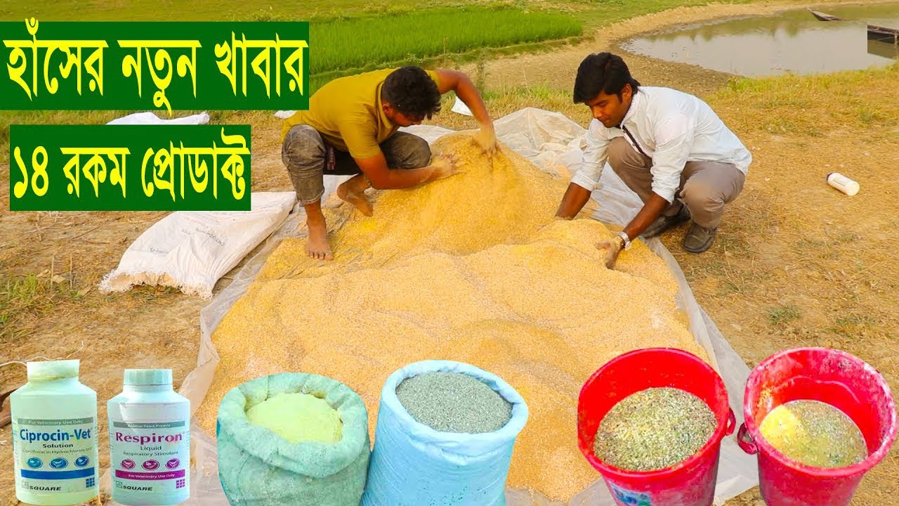 হাঁসের ১৫০ কেজি খাবার তৈরী ১৪ রকম প্রোডাক্ট দিয়ে | হাসের খাবার তৈরি | duck food making | হাস পালন