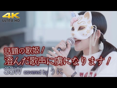 【 歌うま 】澄んだ歌声に虜になります！　 SSW / コレサワ（ covered by うに ）4K映像