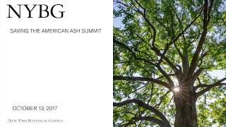 SAVING THE AMERICAN ASH SUMMIT