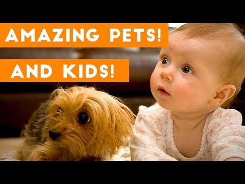 most-amazing-1-hour-of-cute-kids-and-pets-2018-|-funny-pet-videos!