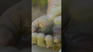 SHAKE Test - Know the soil you’re working with! Part 2