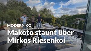 Mit Makoto zu Besuch bei Mirko | Modern Koi Blog #8351