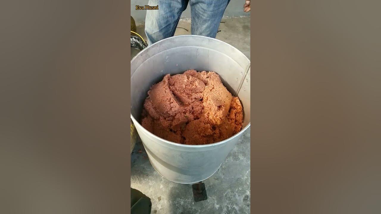 Tradisi masak nasi minyak memperingati Maulid Nabi#shorts Tradisi masak nasi minyak memperingati Maulid Nabi#shorts