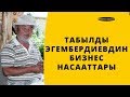 ТАБЫЛДЫ ЭГЕМБЕРДИЕВДИН БИЗНЕС НАСААТТАРЫ /  БИЗНЕС НАСААТ / УЯ