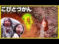 【こびとづかん】新作!!ヤミチッコウの色違いを発見!!??