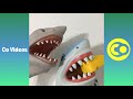 Ultimate Shark Puppet Vines Skits 2020 | Funny Shark Puppet Vine Videos