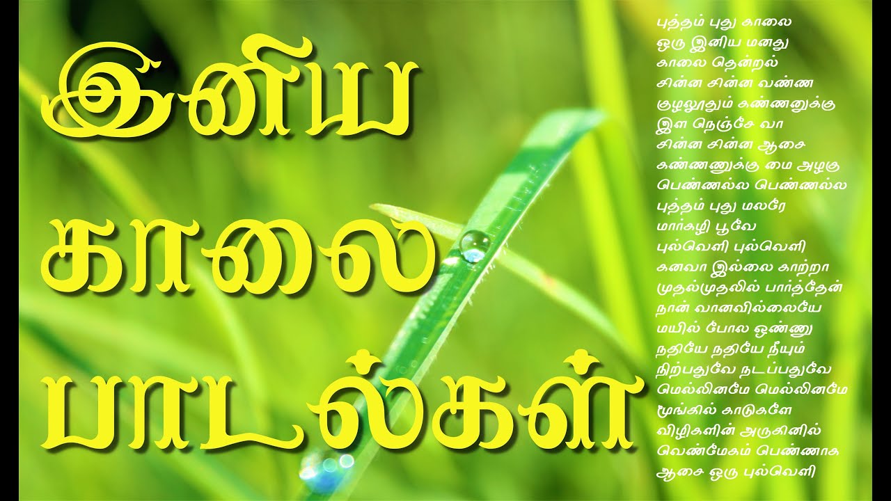 Tamil songs for Morning  Pleasant Tamil songs to start your day  Jukebox  Morning songs