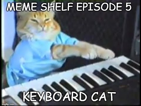 meme-shelf-episode-5---keyboard-cat