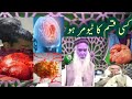 Tumor kahin bhi ho kaisa bhi ho  ilaaj  sheikh iqbal salfi new viral homepage