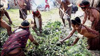 Bakar Batu Suku Dani Wamena
