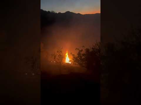 BESNİ’DE GECE BOYUNCA 4 FARKLI NOKTADA YANGIN
