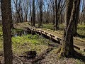 North Country Trail in Michigan - White Cloud M20 South