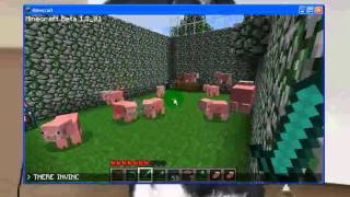 Invincible Minecraft Pigs(edited)