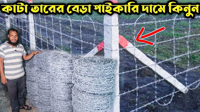 Tabiiyki, katta kokraklar